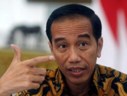 Walhi Minta Presiden Jokowi Berkaca Sebelum Kritik Menteri Siti Nurbaya