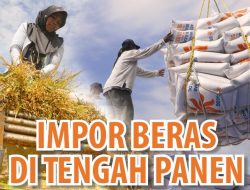Lima Kejanggalan Pemerintah Indonesia Putuskan Impor Beras