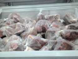 Bulog Klaim 15 Ton Daging Kerbau Beku Terjual di Pekanbaru