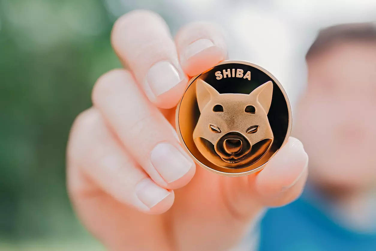 How To Get Shiba Inu Coin Free - MySts
