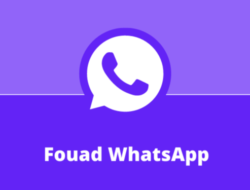 Fouad WhatsApp 9.25, Link Download Ada di Sini