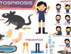 Leptospirosis Bikin 55 Warga Jawa Tenggah Meninggal